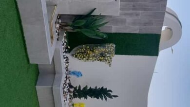 تنسيق حدائق بالرياض