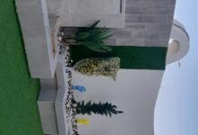 تنسيق حدائق جنوب الرياض