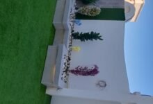 شركة تنسيق حدائق بالرياض رخيصة ومجربة