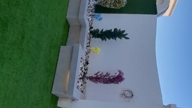 شركة تنسيق حدائق بالرياض رخيصة ومجربة