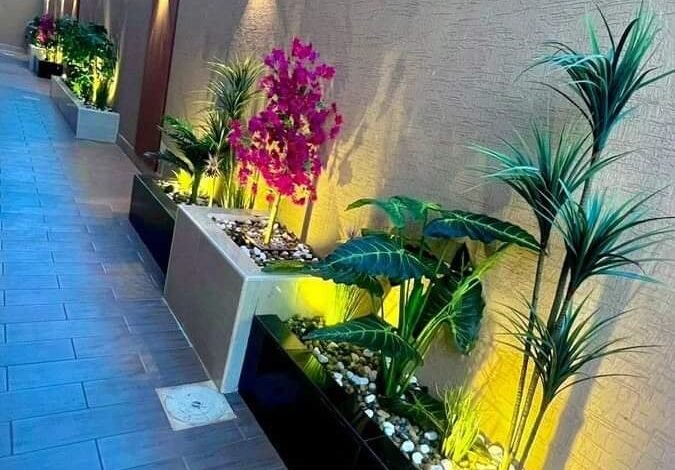 تنسيق حدائق الرياض