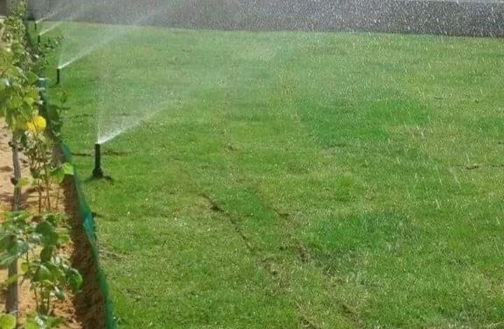 أفضل شركة لشبكات الري الحديثة في الرياض