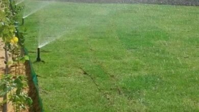 مكتب شبكات ري بالرياض