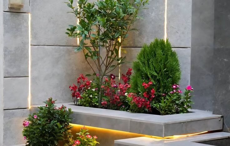 مراكن صناعية بالرياض