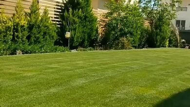 شركة تركيب ثيل صناعي بالرياض