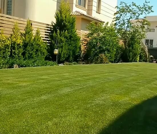 الثيل الصناعي بالرياض