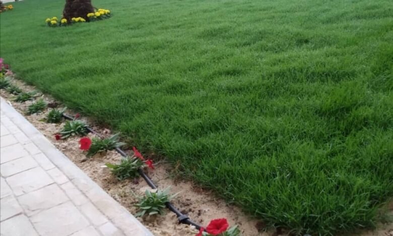 الثيل الصناعي بالرياض