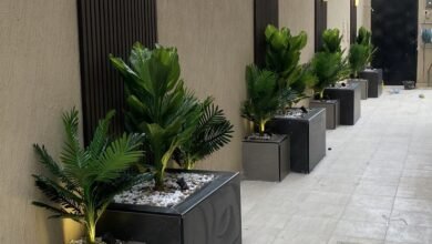 مراكن زراعية بالرياض