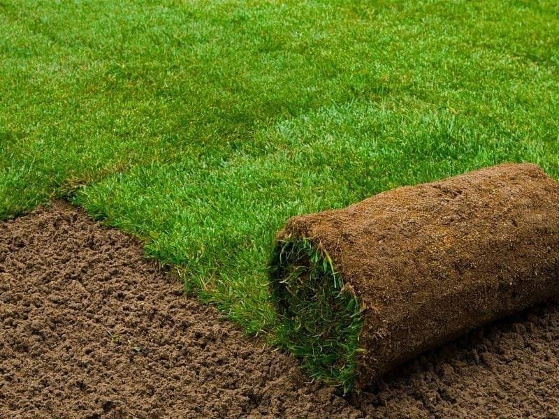 تركيب ثيل طبيعي بالرياض