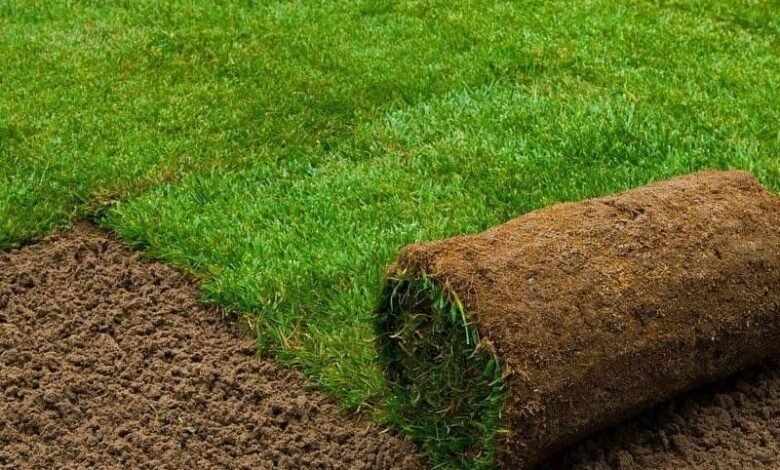 تركيب ثيل طبيعي بالرياض