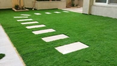 الثيل الطبيعي بالرياض